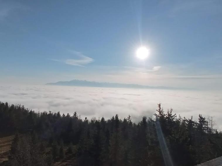 Noclegi u Lidii Ochotnica Górna Exterior foto